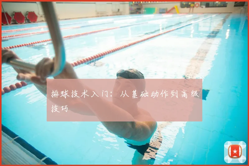 排球技术入门：从基础动作到高级技巧